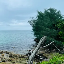 Somerset Bridge - Paget Parish