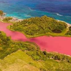 Spittal Pond Nature Reserve - Paget Parish