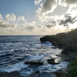 Spittal Pond Nature Reserve - Paget Parish