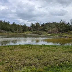 Spittal Pond Nature Reserve - Paget Parish