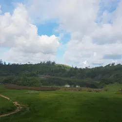 Spittal Pond Nature Reserve - Paget Parish
