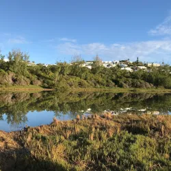 Spittal Pond Nature Reserve - Paget Parish