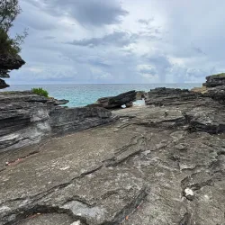 Spittal Pond Nature Reserve - Paget Parish