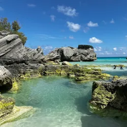 Horseshoe Bay Beach - Sandys
