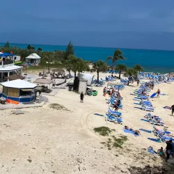 Snorkel Park Beach - Sandys