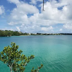 Bermuda Aquarium, Museum and Zoo (BAMZ) - Smiths