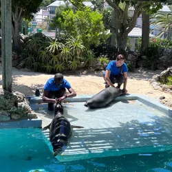 Bermuda Aquarium, Museum and Zoo (BAMZ) - Smiths