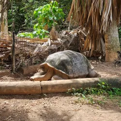 Bermuda Aquarium, Museum and Zoo (BAMZ) - Smiths