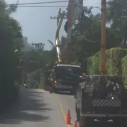 Devil's Hole Aquarium - Smiths