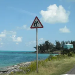 Mangrove Bay - Smiths