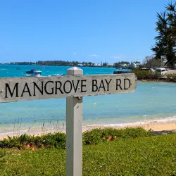 Mangrove Bay - Smiths