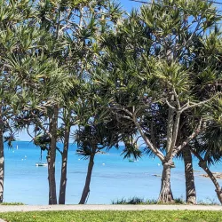 Mangrove Bay - Smiths