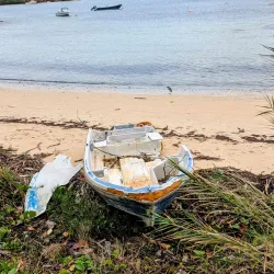 Mangrove Bay - Smiths