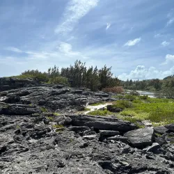 Spittal Pond Lookout - Smiths