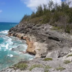 Spittal Pond Lookout - Smiths