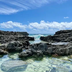 Spittal Pond Lookout - Smiths
