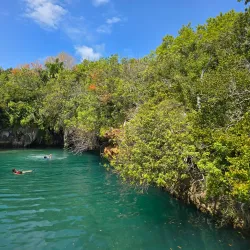 Tom Moore's Jungle - Smiths