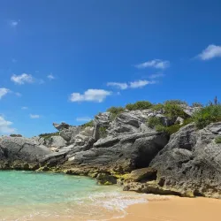 Cooper's Island Nature Reserve - Southampton