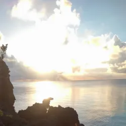 Bermuda Railway Trail (Warwick Section) - Warwick