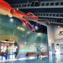 Bermuda Underwater Exploration Institute - Warwick