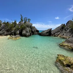 Jobson's Cove - Warwick