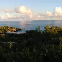 Jobson's Cove - Warwick