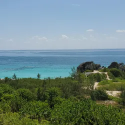 Jobson's Cove - Warwick