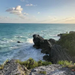 Jobson's Cove - Warwick