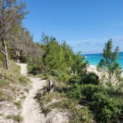 Jobson's Cove - Warwick