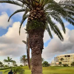 Warwick Camp Golf Course - Warwick