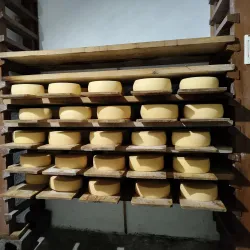 Swiss Farm - Bumthang