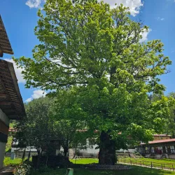 Tamshing Lhakhang - Bumthang