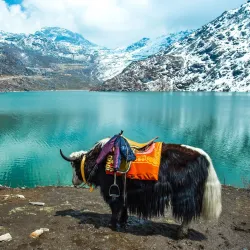 Tang Valley - Bumthang