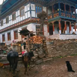 Ura Valley - Bumthang