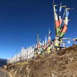 Chele La Pass - Paro