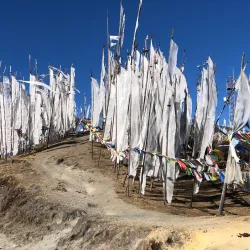 Chele La Pass - Paro