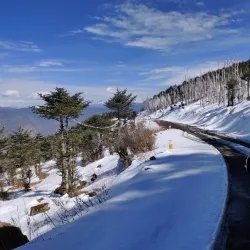 Chele La Pass - Paro