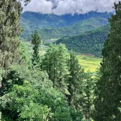 Drukgyel Dzong - Paro