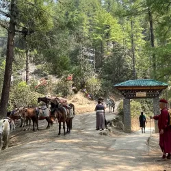 Tiger's Nest Monastery (Paro Taktsang) - Paro