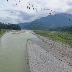 Amo Chhu Suspension Bridge - Phuntsholing