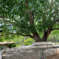 Chimi Lhakhang (Fertility Temple) - Punakha