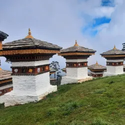 Chorten at Dochu La Pass (near Punakha) - Punakha