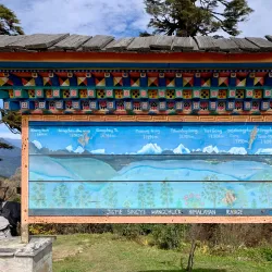 Chorten at Dochu La Pass (near Punakha) - Punakha