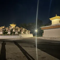 Chorten at Dochu La Pass (near Punakha) - Punakha