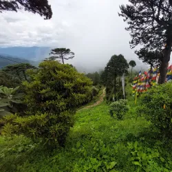 Chorten at Dochu La Pass (near Punakha) - Punakha