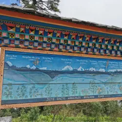 Chorten at Dochu La Pass (near Punakha) - Punakha