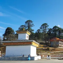 Chorten at Dochu La Pass (near Punakha) - Punakha