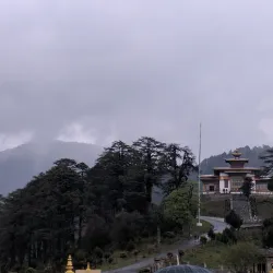 Chorten at Dochu La Pass (near Punakha) - Punakha