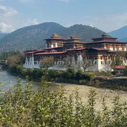 Punakha Dzong Festival (Punakha Tshechu) - Punakha