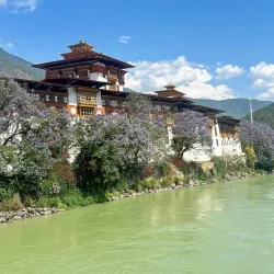 Punakha Dzong Festival (Punakha Tshechu) - Punakha